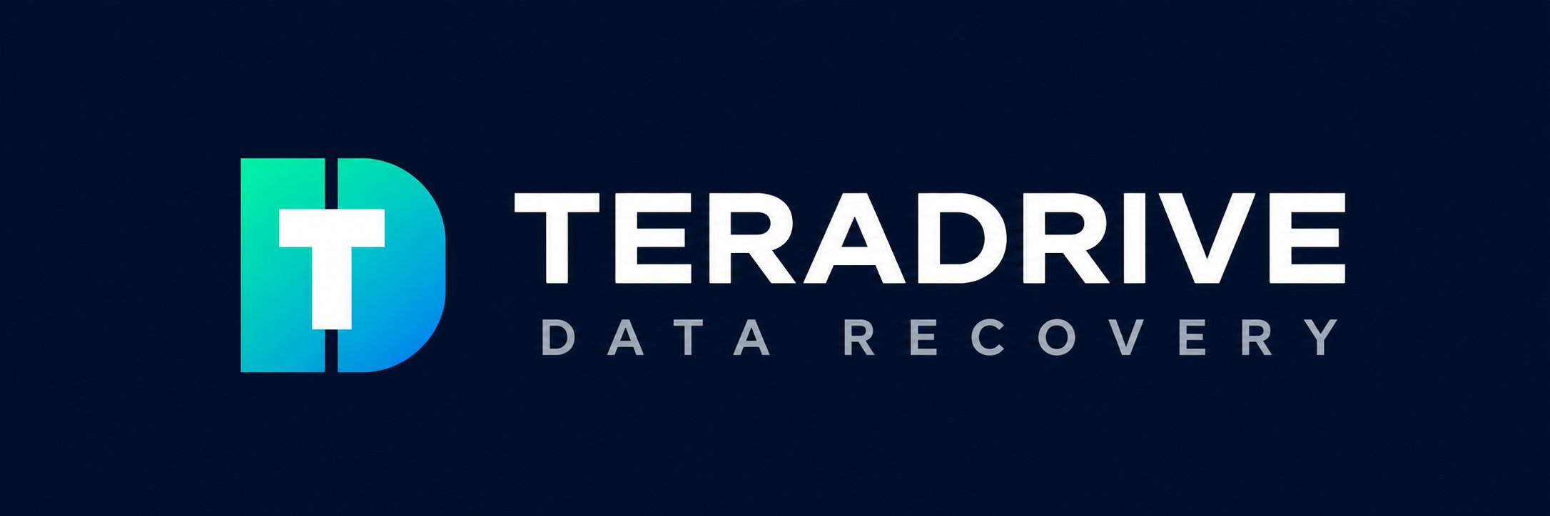 TeraDrive Data Recovery